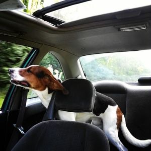 Meet your Posher, Aaron